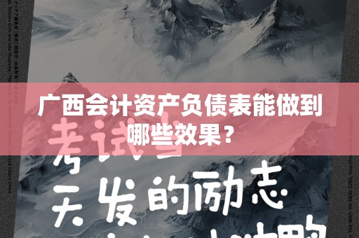 广西会计资产负债表能做到哪些效果？