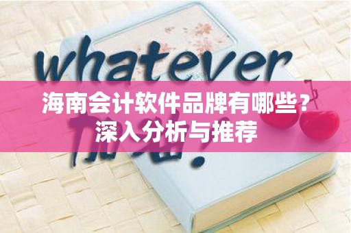 海南会计软件品牌有哪些？深入分析与推荐