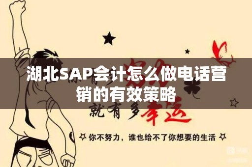 湖北SAP会计怎么做电话营销的有效策略