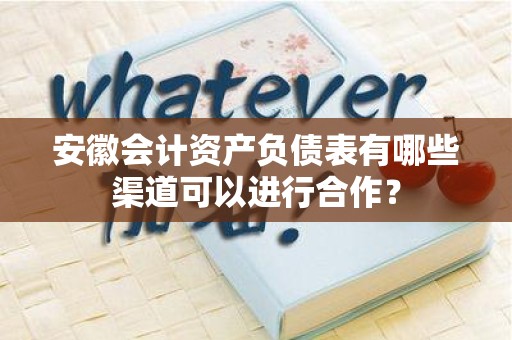 安徽会计资产负债表有哪些渠道可以进行合作？