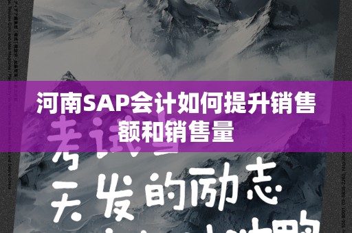 河南SAP会计如何提升销售额和销售量