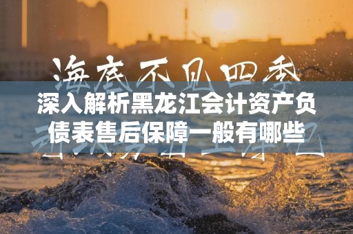 深入解析黑龙江会计资产负债表售后保障一般有哪些