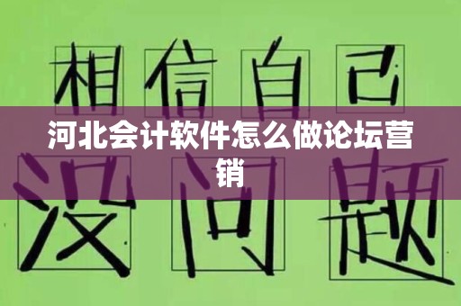 河北会计软件怎么做论坛营销