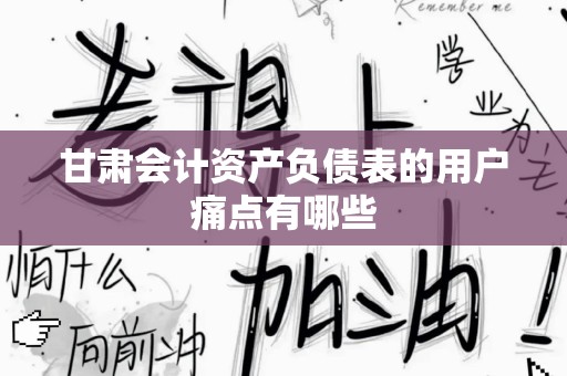 甘肃会计资产负债表的用户痛点有哪些