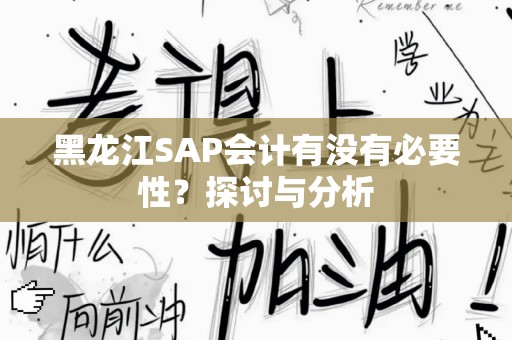 黑龙江SAP会计有没有必要性？探讨与分析