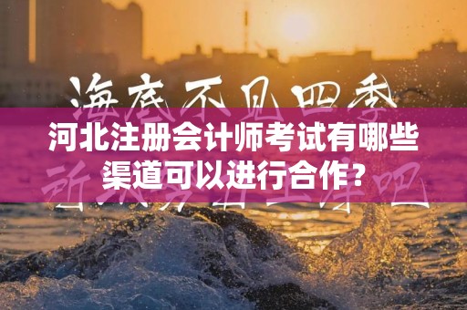 河北注册会计师考试有哪些渠道可以进行合作？