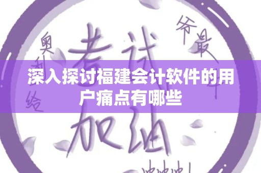 深入探讨福建会计软件的用户痛点有哪些