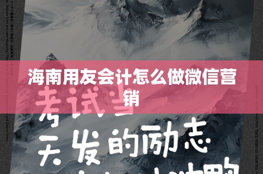 海南用友会计怎么做微信营销