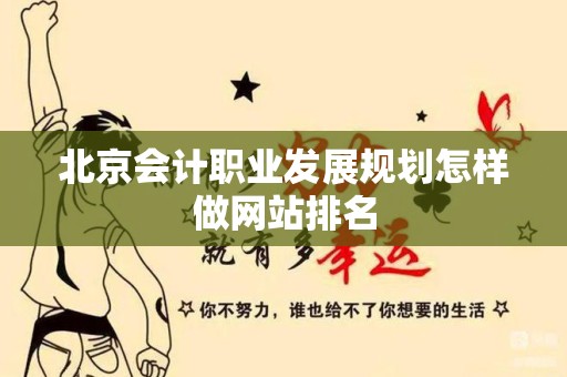 北京会计职业发展规划怎样做网站排名