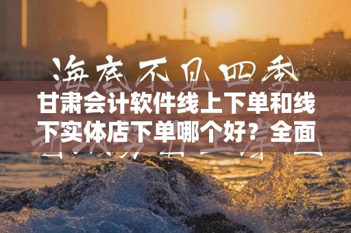 甘肃会计软件线上下单和线下实体店下单哪个好？全面解析