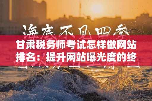 甘肃税务师考试怎样做网站排名：提升网站曝光度的终极指南