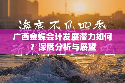 广西金蝶会计发展潜力如何？深度分析与展望