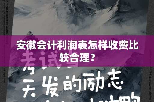 安徽会计利润表怎样收费比较合理？