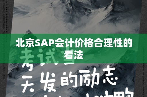 北京SAP会计价格合理性的看法