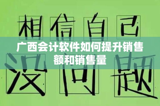 广西会计软件如何提升销售额和销售量