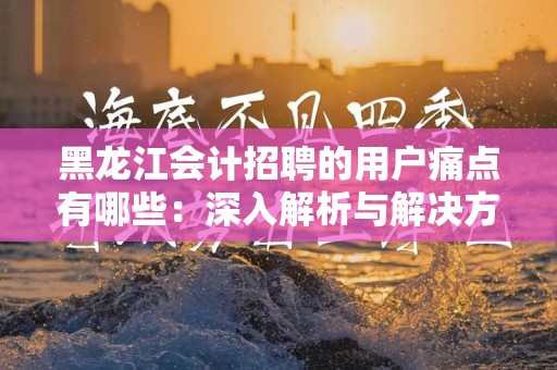 黑龙江会计招聘的用户痛点有哪些：深入解析与解决方案