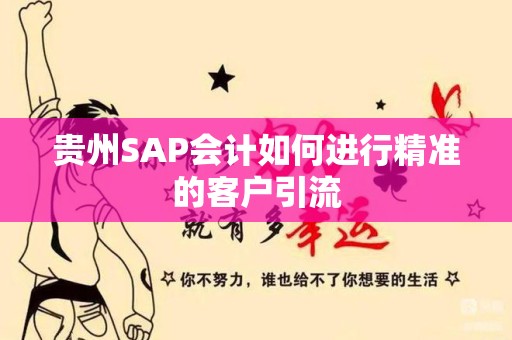 贵州SAP会计如何进行精准的客户引流
