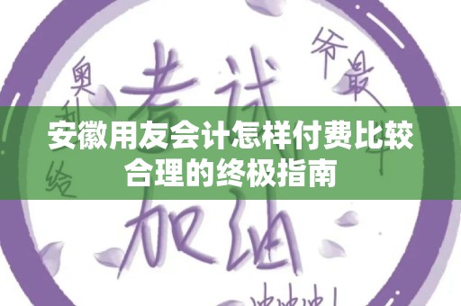 安徽用友会计怎样付费比较合理的终极指南