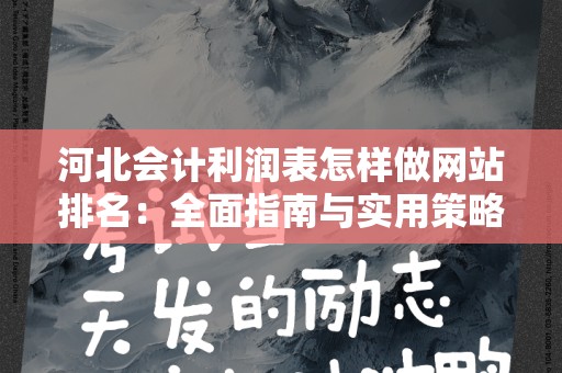 河北会计利润表怎样做网站排名：全面指南与实用策略