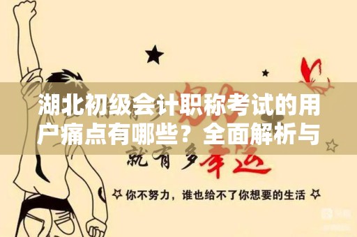湖北初级会计职称考试的用户痛点有哪些？全面解析与解决方案