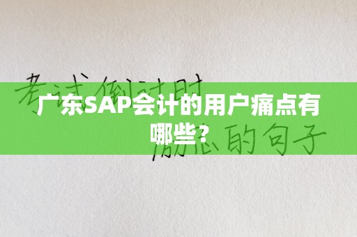 广东SAP会计的用户痛点有哪些？