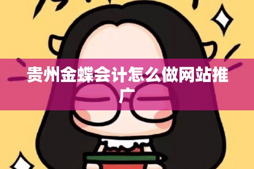 贵州金蝶会计怎么做网站推广