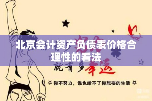北京会计资产负债表价格合理性的看法