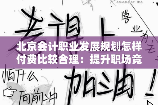 北京会计职业发展规划怎样付费比较合理：提升职场竞争力的最佳方案