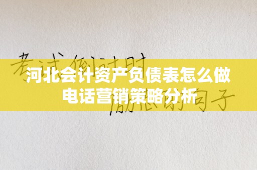 河北会计资产负债表怎么做电话营销策略分析
