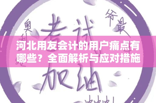 河北用友会计的用户痛点有哪些？全面解析与应对措施