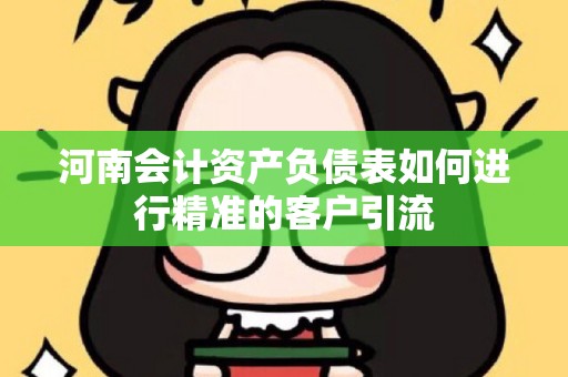 河南会计资产负债表如何进行精准的客户引流