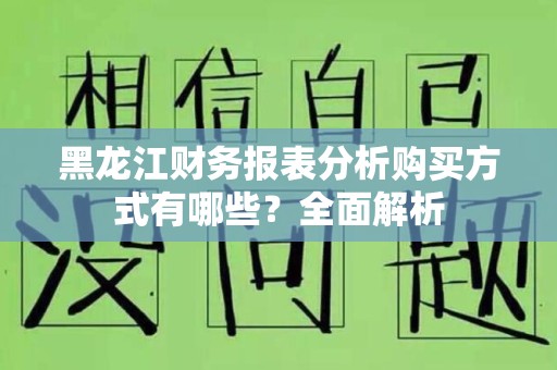 黑龙江财务报表分析购买方式有哪些？全面解析