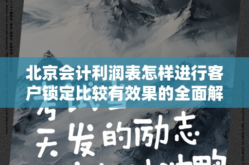 北京会计利润表怎样进行客户锁定比较有效果的全面解析