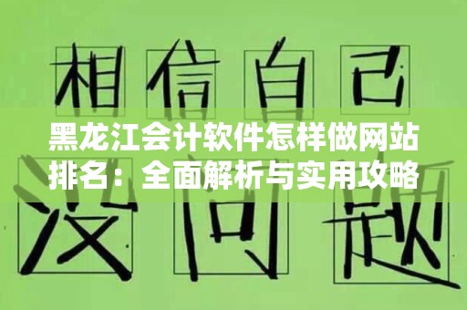 黑龙江会计软件怎样做网站排名：全面解析与实用攻略