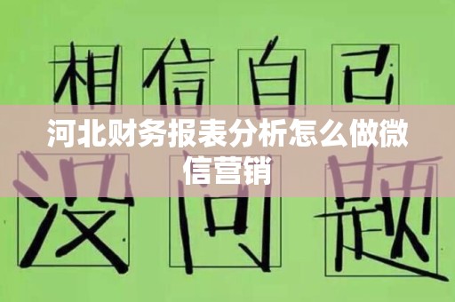 河北财务报表分析怎么做微信营销