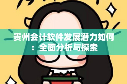 贵州会计软件发展潜力如何：全面分析与探索