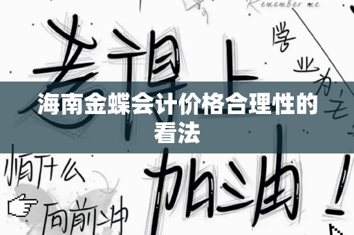 海南金蝶会计价格合理性的看法